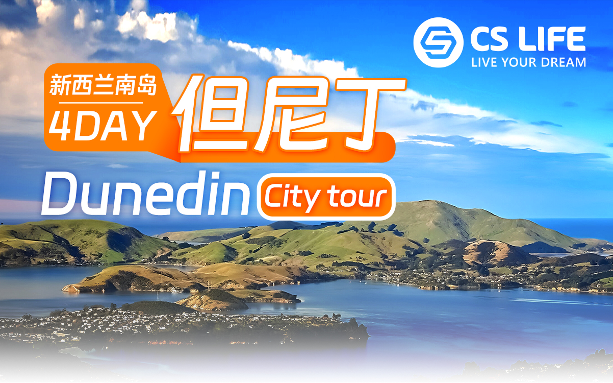 4D3N: Embrace the Enchanting Beauty of Dunedin